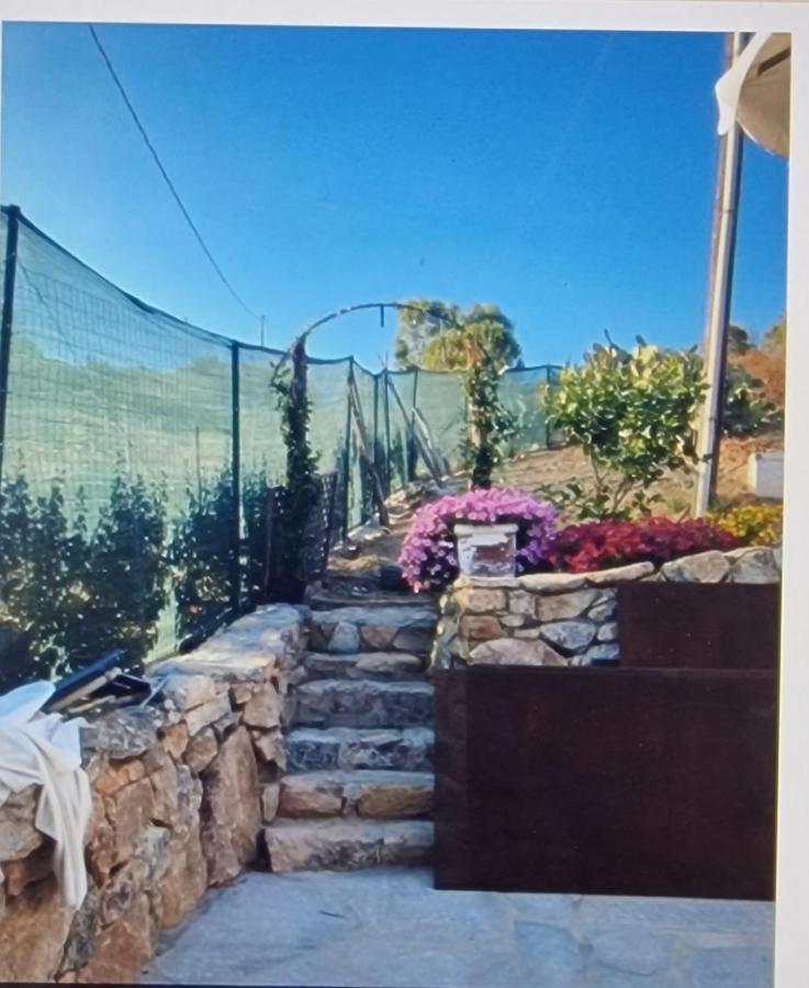 Rifugio Monte Pino Villa Telti Esterno foto
