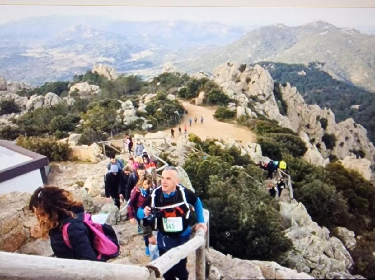 Rifugio Monte Pino Villa Telti Esterno foto