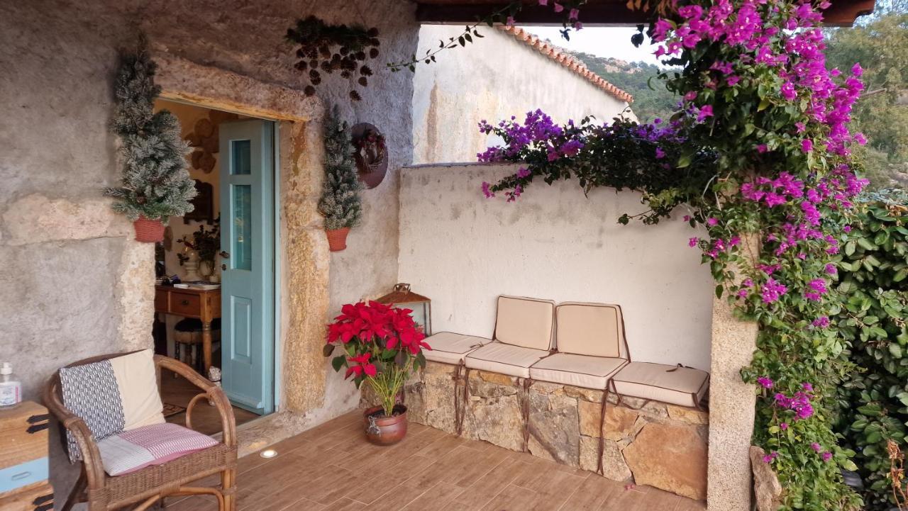 Rifugio Monte Pino Villa Telti Esterno foto